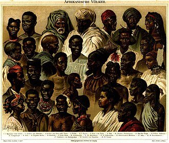 Bibliothèque - section Peuples et Civilisations